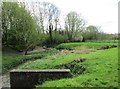 Stream in Bourton Park, Buckingham