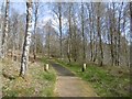 Cycle path, Aberfoyle