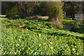 West Somerset : Grassy Field & Footpath