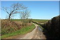 Lane to Staddon Moor