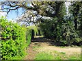 Public footpath to Witney Lake, Witney, Oxon