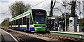 Tram Arriving at Morden Road