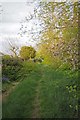 Footpath Beside Basildon Golf Course