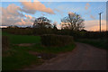 West Somerset : Country Lane