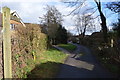 Footpath north of Abinger Common