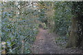 Footpath from Abinger Common