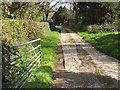 Track to Ty Newydd Farm