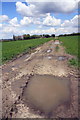 Farm access road from Camp Road