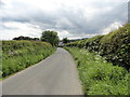 Road into Shotleyfield