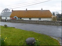 N4307 : Thatched cottage at Garoon by Oliver Dixon