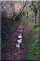 West Somerset : Footpath