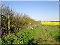 Bridleway  to  Etton  West  Wood