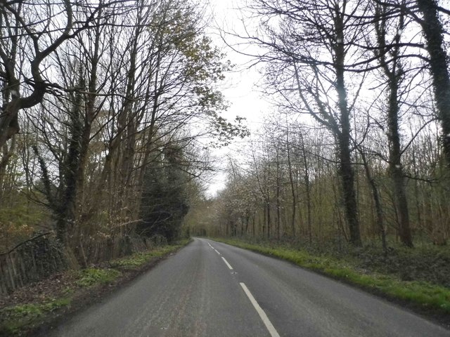 White's Hill near Ramsbury