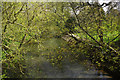 River Great Ouse, Newport Pagnell