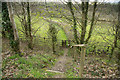 Footpath to Cleave