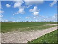 Fields between New Causeway and Formby Bypass