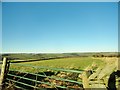 View north from Whinny Lane