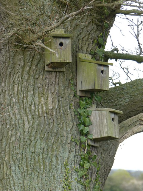 Nextboxes on former Conservation Path