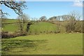 Fields near Milton Damerel