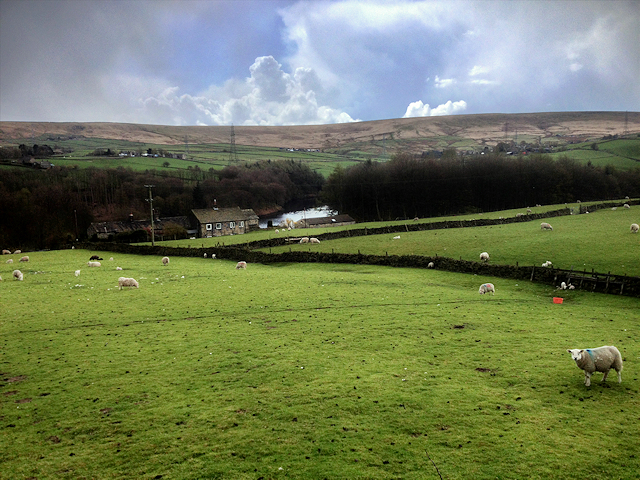 Ryburn Valley © David Dixon :: Geograph Britain And Ireland