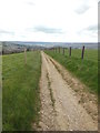 ST7167 : Looking down the Cotswold Way by HelenK