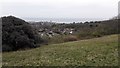 South Downs Way near Warren Hill