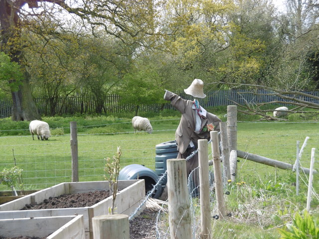 The scarecrow at Woodlands Farm