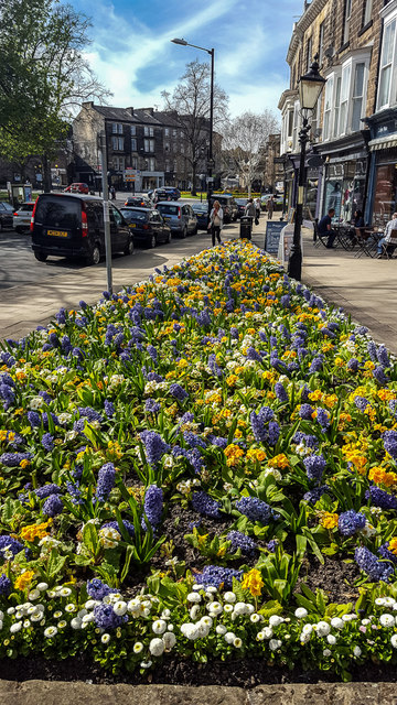 Flowerbeds in Harrogate Town Centre, Yorkshire