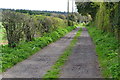 Track at Grateley