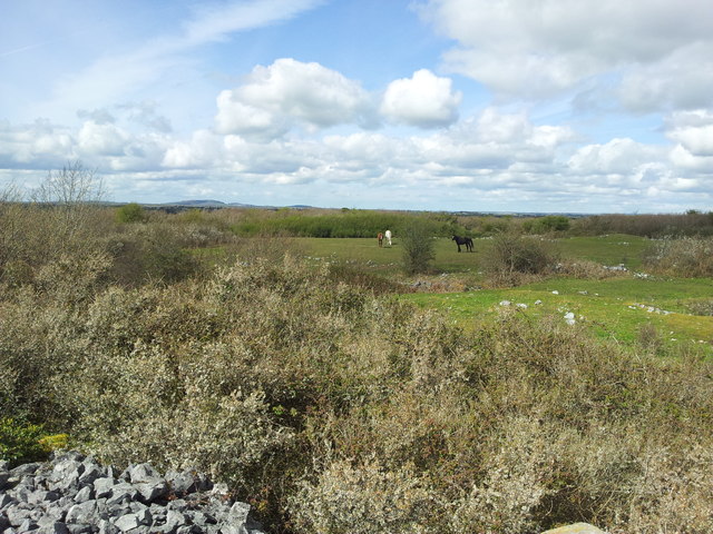 Site of the Battle of Knockdoe  1504