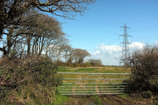 Field near Curtis Cross