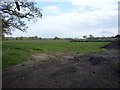 Farmland near Ibex Grove