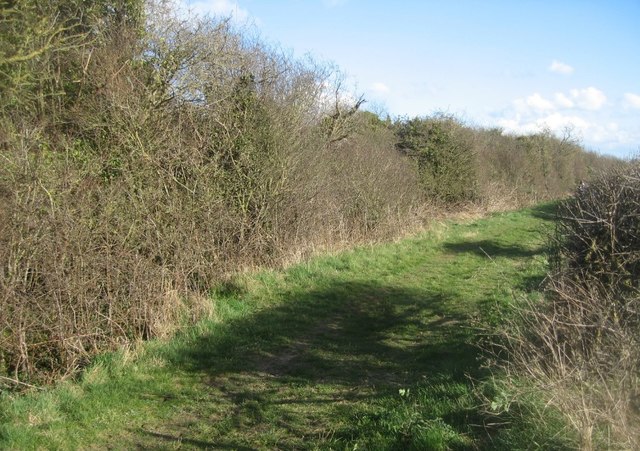 Restricted byway - Itchen Stoke Down