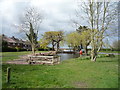 Village pond, Bayford