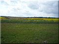 Farmland west of Bayford Lane