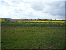 TL3009 : Farmland west of Bayford Lane by JThomas