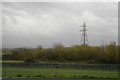 Pylon, Taunton Deane