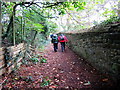 Tuag at Bentre-Poeth / Towards Pentre-Poeth