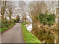 Canal Towpath near Brecon