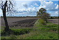 Farmland next to the Fossdyke Canal