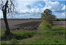 SK8477 : Farmland next to the Fossdyke Canal by Mat Fascione