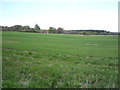 Farmland towards Bramfield Woods