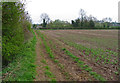 Footpath towards Gonalston Lane