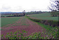 Towards Netherfield Farm