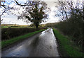 SK7603 : Loddington Road towards Oxey Cross Roads by Andrew Tatlow