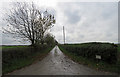 Driveway to Teigh Lodge