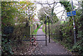 Cuckoo Trail along the rear of the houses on The Cedars