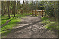 SU9859 : Cattle gate, Horsell Common by Alan Hunt