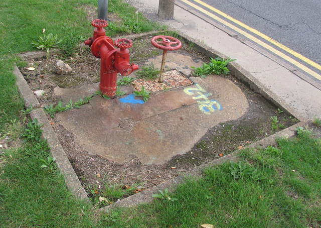 Fire hydrant outside Speedy Hire
