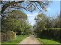 The Road from Hastoe Farm to Hastoe Grove